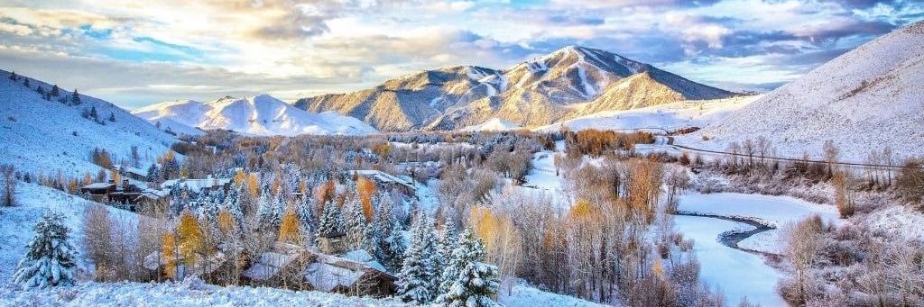 Matthew Dowling banner