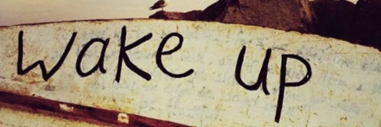 anitaurigoi's profile banner image