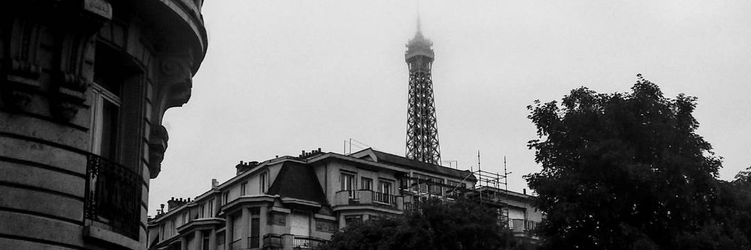 Mxryne_'s profile banner image