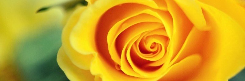 lilik76's profile banner image