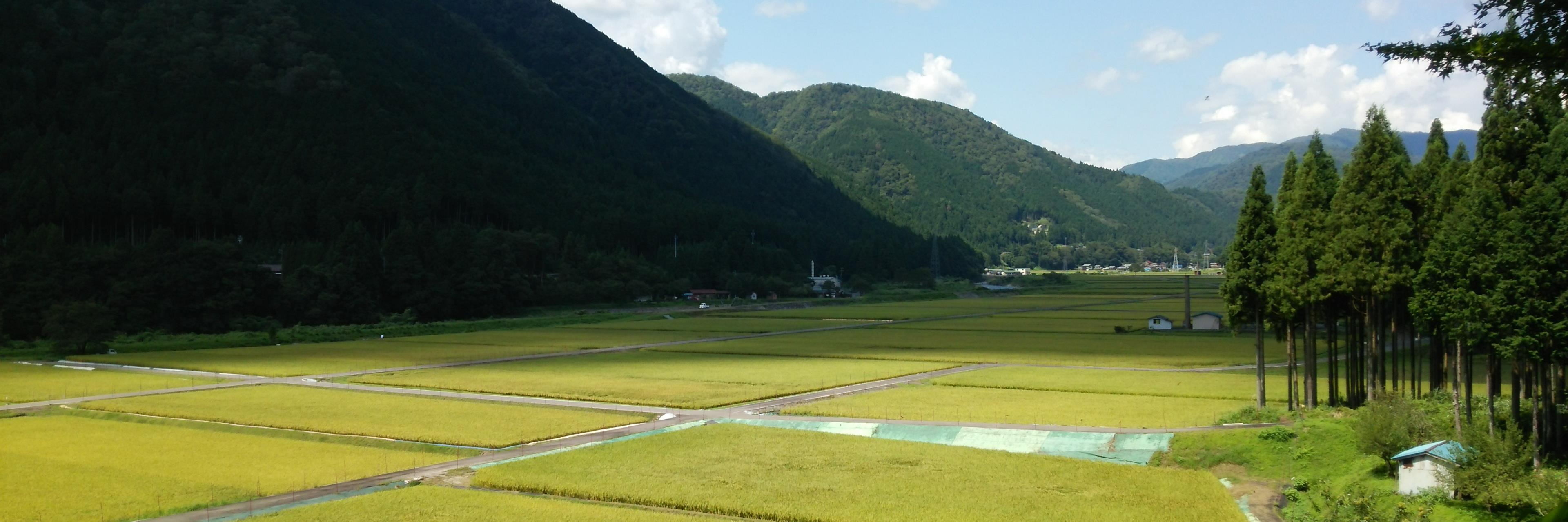 きりΔスペシャルウェポン banner