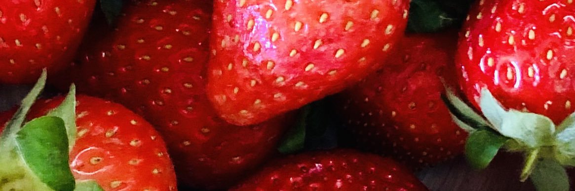 Ana Cobos 🌀 banner