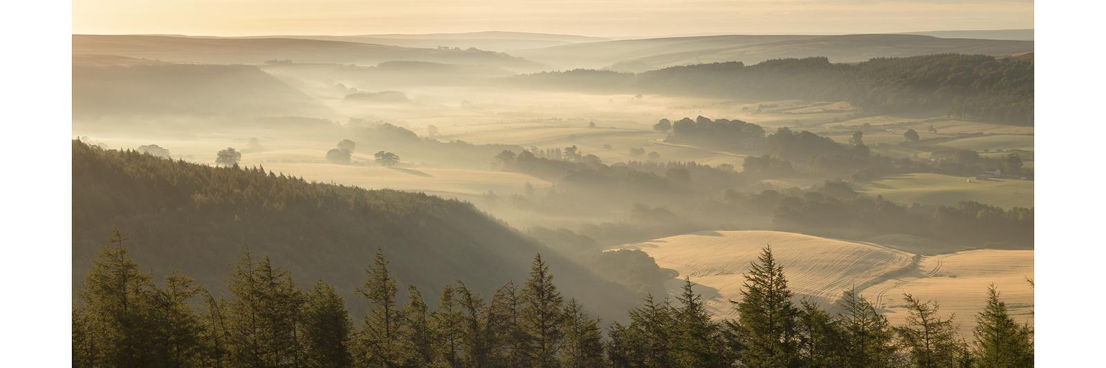 IanBurtonPhoto's profile banner image