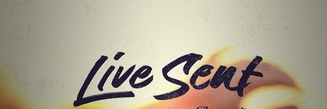 tnbumblebee16's profile banner image