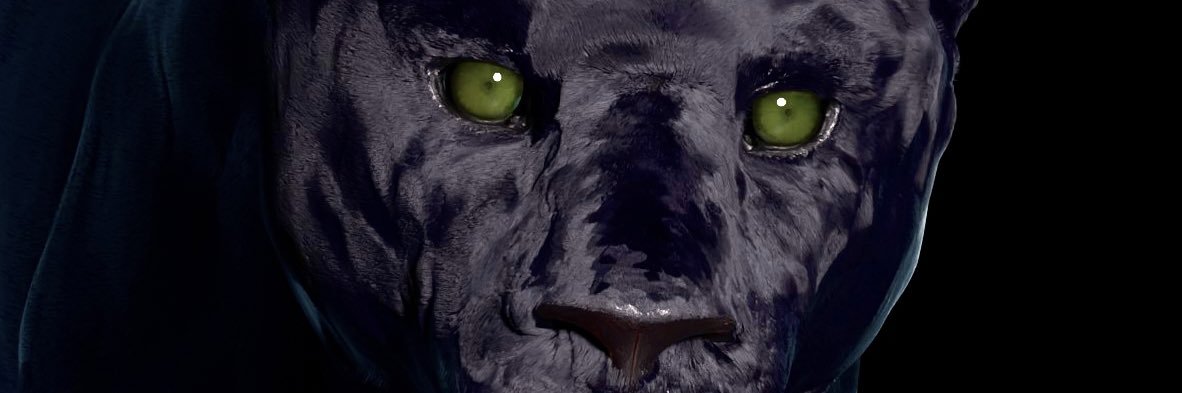 AlexKiessling's profile banner image