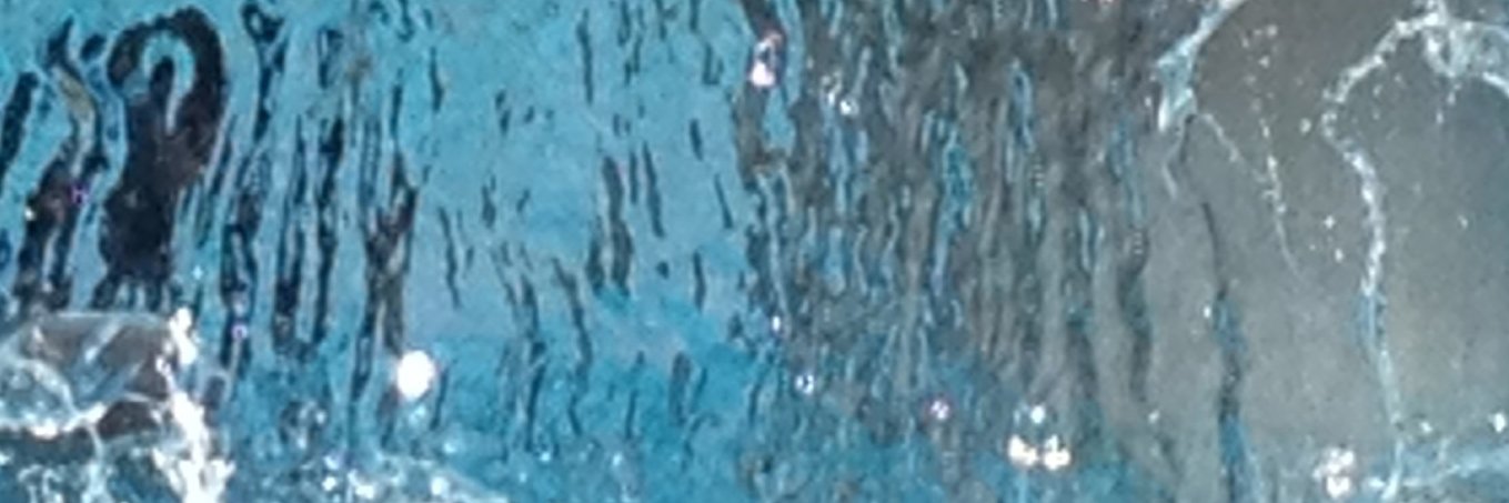 Corina Niebuhr banner