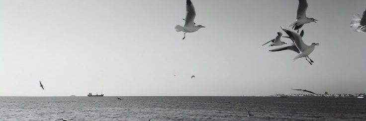 한승우. banner