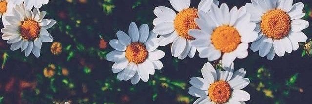 mervedavulcuu's profile banner image