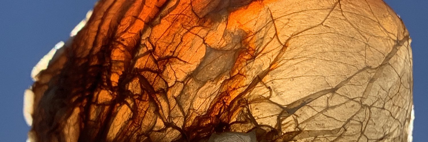 tequila for mouthwash banner