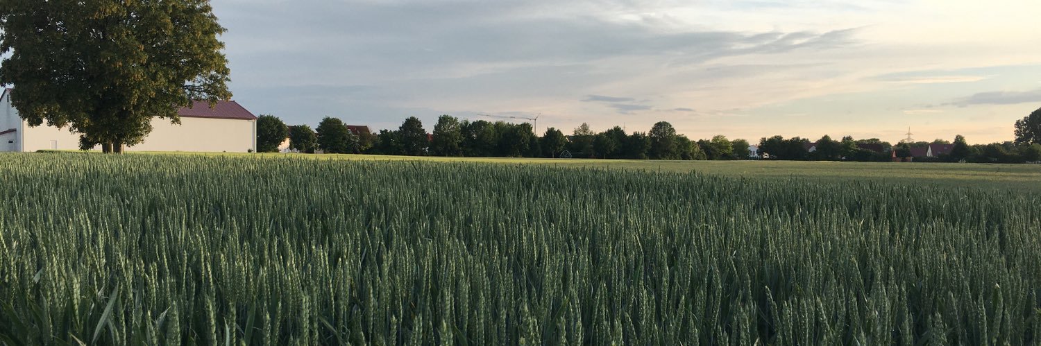 FranHapunkt's profile banner image