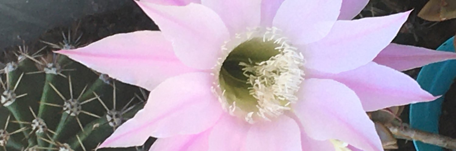 ClkYld's profile banner image