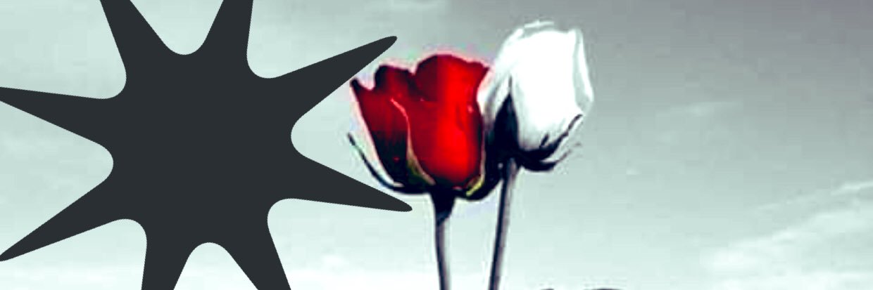 fiorellaMat's profile banner image