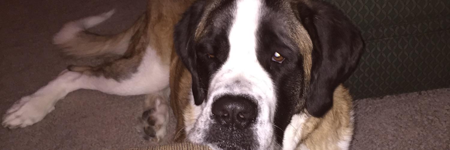 Pete Rakytiak banner