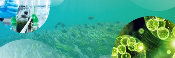EABA_Algae Profile Banner