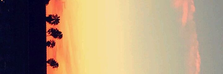 Mellissonneloo's profile banner image