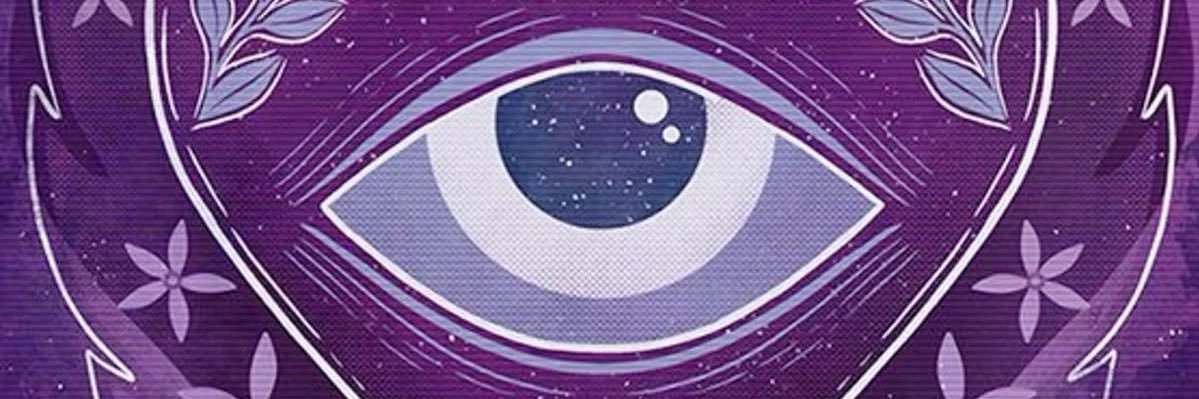 aninha mete medo banner