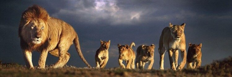 Ahmad_faraj72's profile banner image
