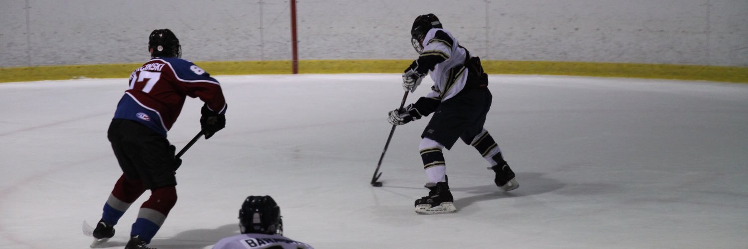 DProzzillo's profile banner image