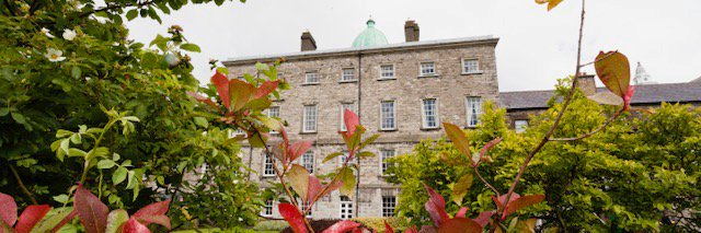 Michelle Nolan banner