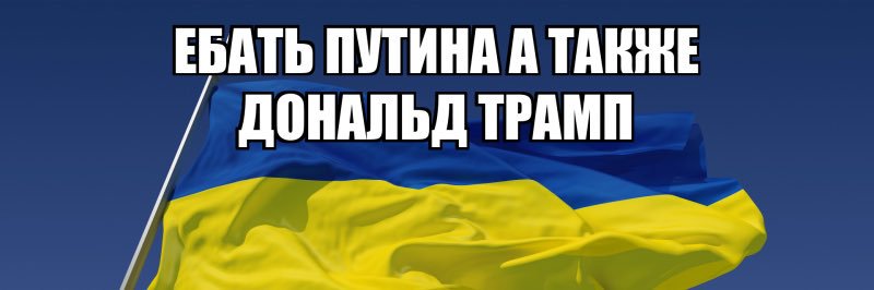 HoldThemAccountable 🇺🇸🇺🇦🌻's banner