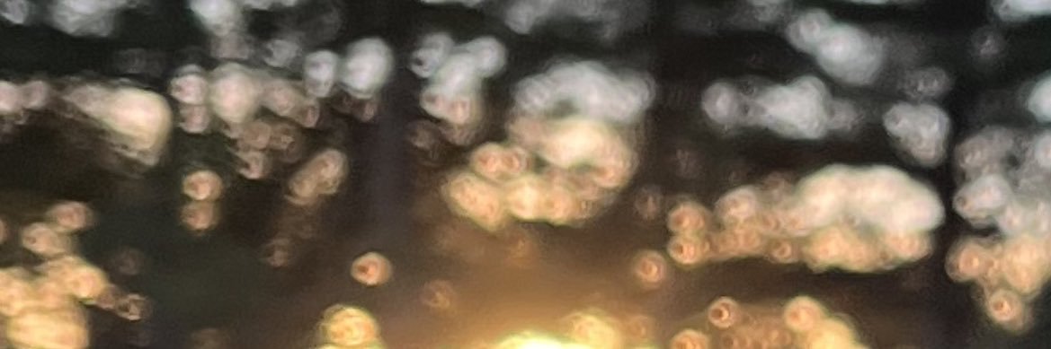 alexmbrune's profile banner image