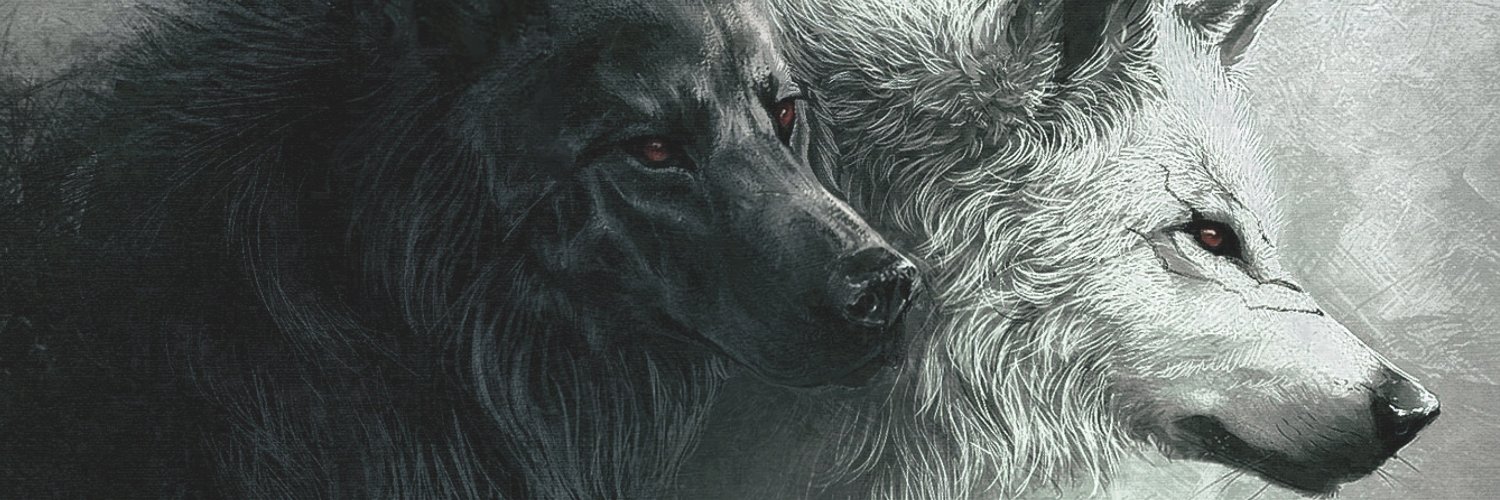 franklynvcairo's profile banner image
