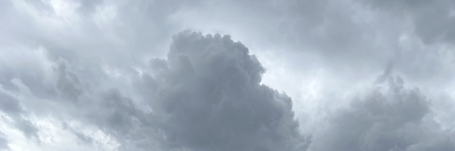 pangoestoe's profile banner image
