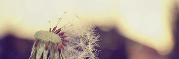 ivyeatsagain's profile banner image