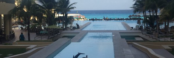 suzijording Profile Banner