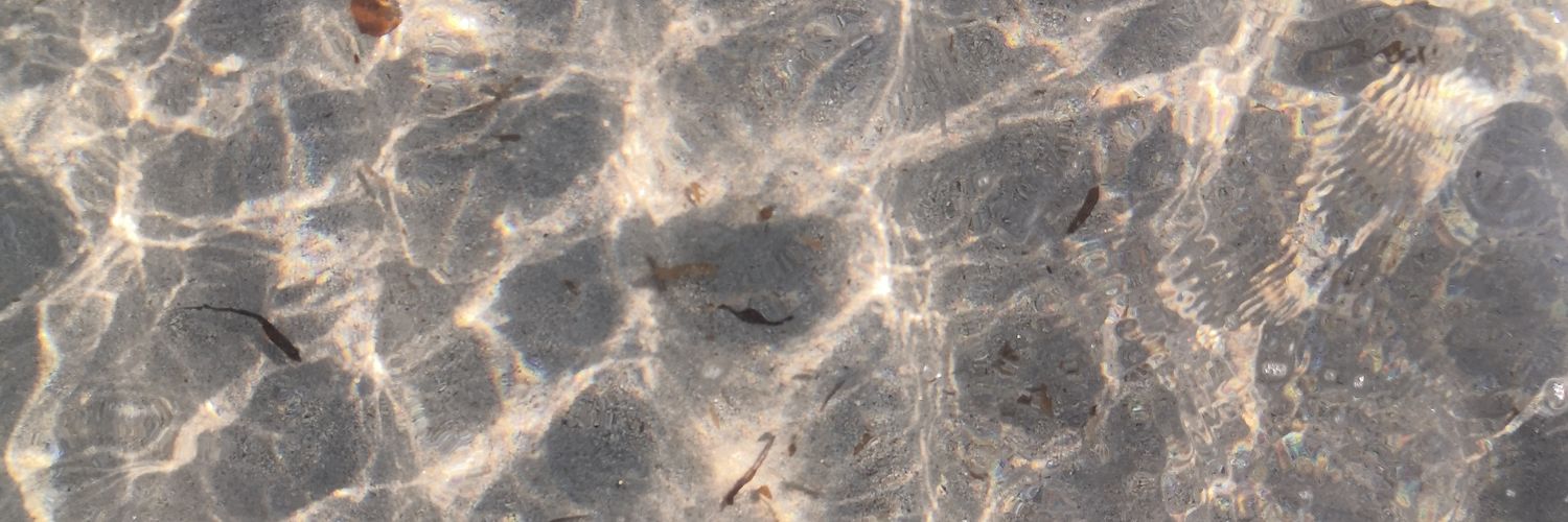 CeliaKuczynski's profile banner image