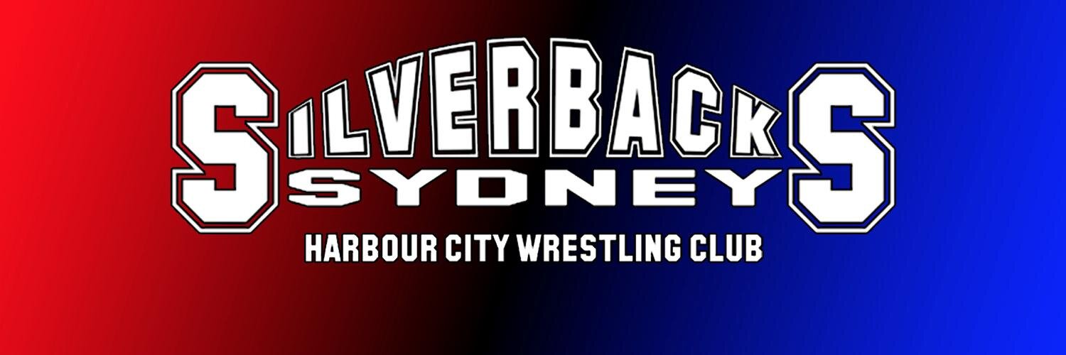 HCWCSilverbacks's profile banner image