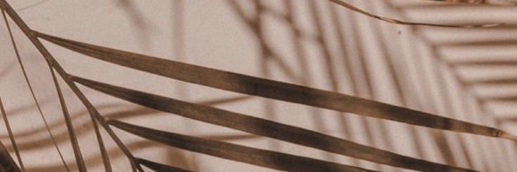 nicolymarin's profile banner image