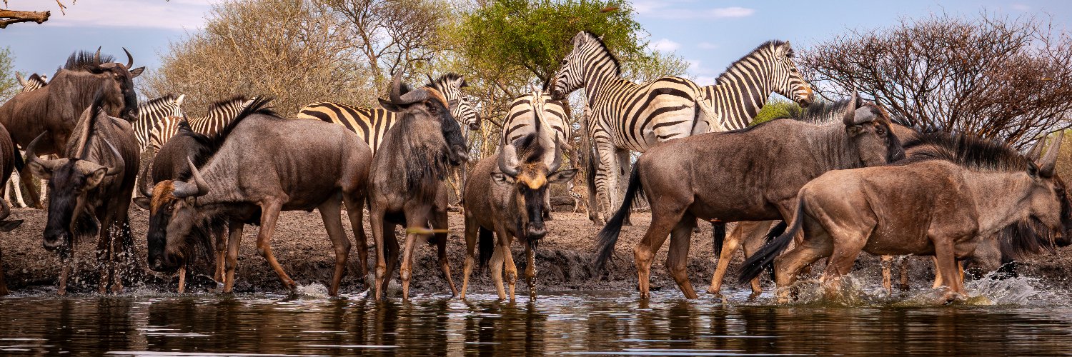 ubonsafari's profile banner image