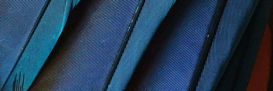 Ben_aly1's profile banner image