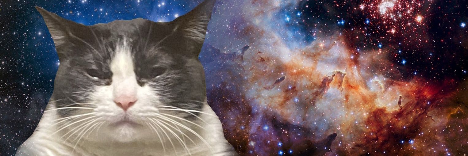 noahryo0131's profile banner image