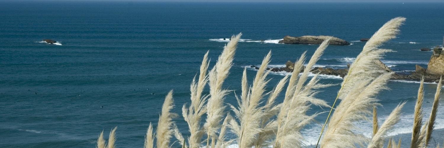 WunderStrike's profile banner image