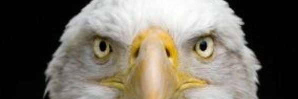 maespedro21's profile banner image