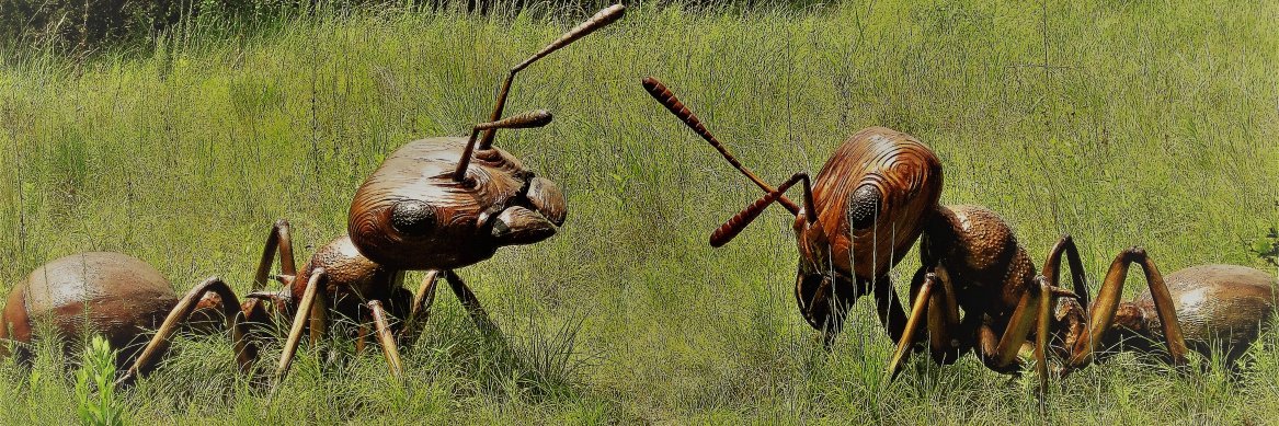 @mccapps@bsky.social banner