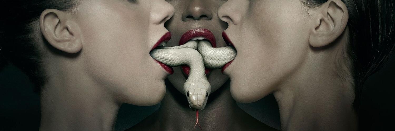 SexualReality's profile banner image