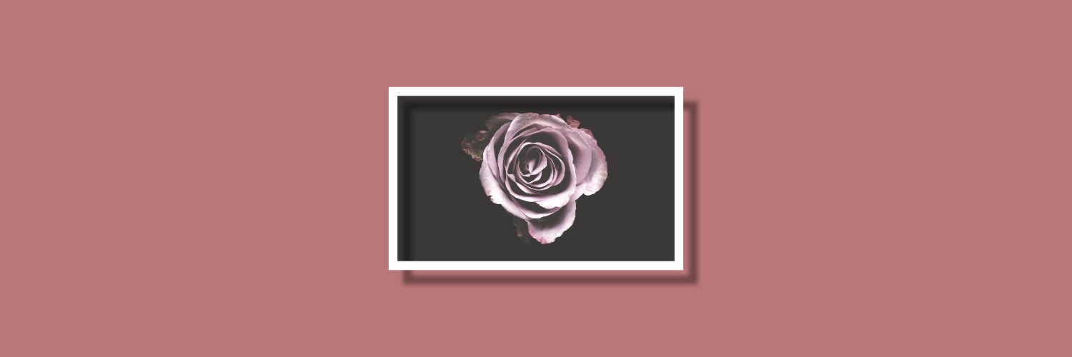 🌷🔥 follow help 🔥🌷 banner