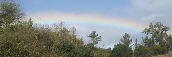 uhume Profile Banner