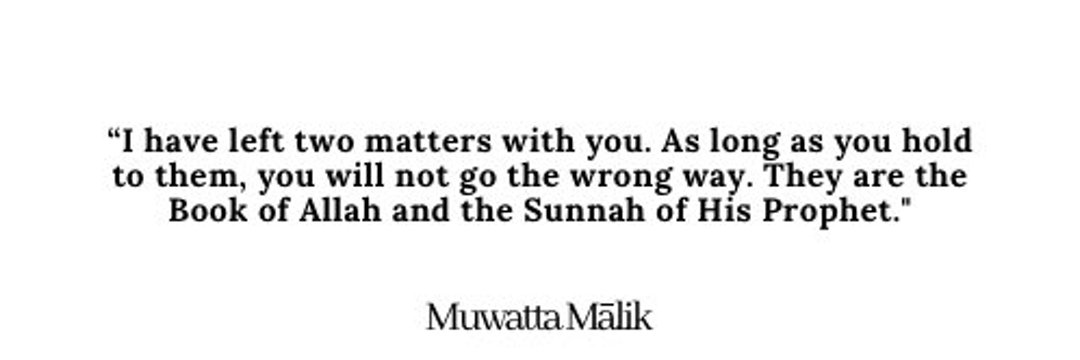 Salahu's banner