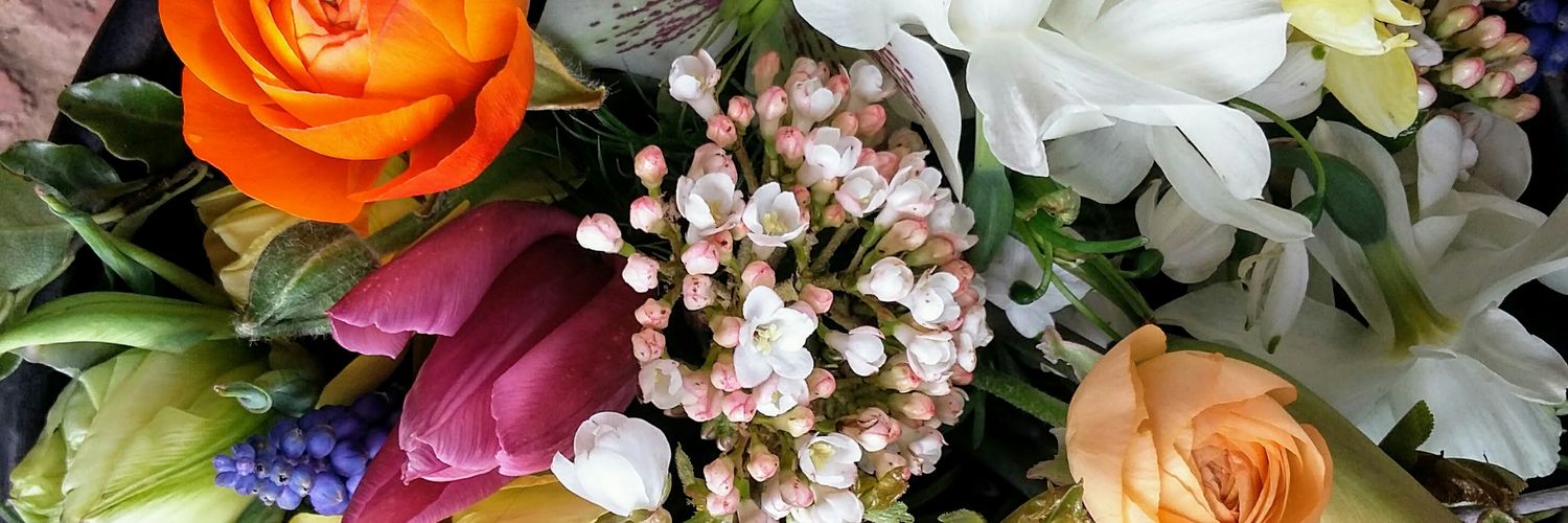 florasomerset's profile banner image