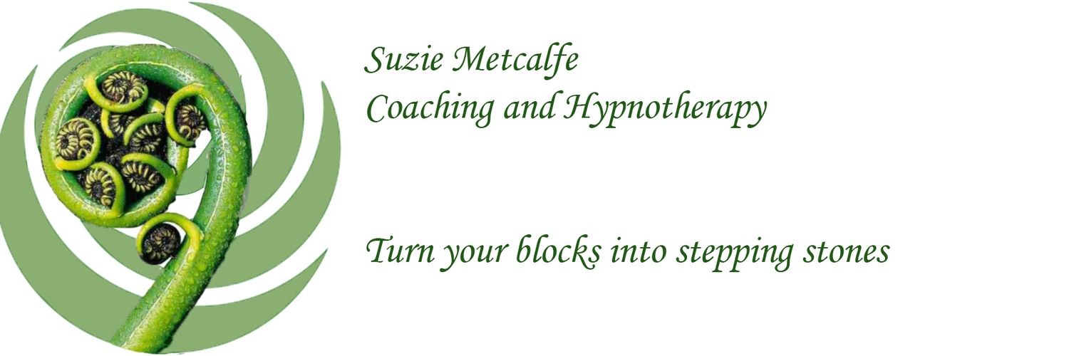 Suziemetcalfe's profile banner image