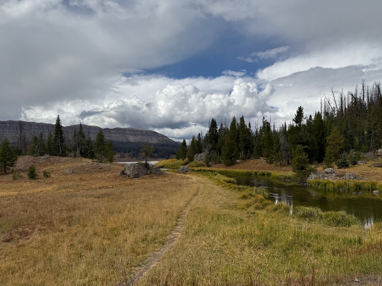 Kristen Breitweiser banner