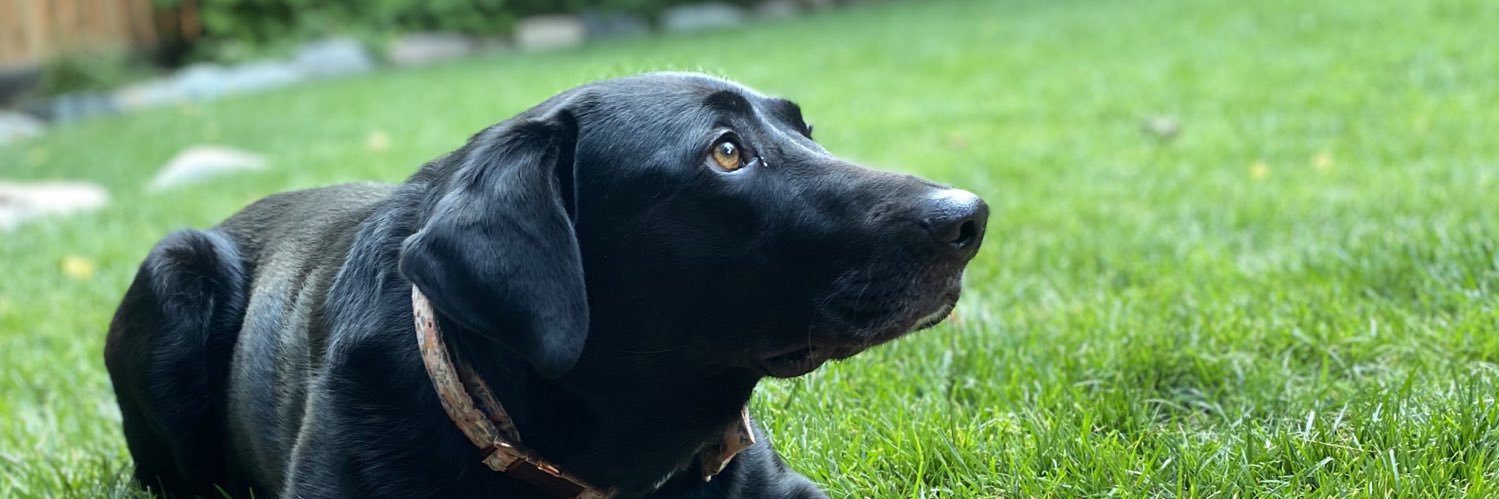 yourfriendgert's profile banner image
