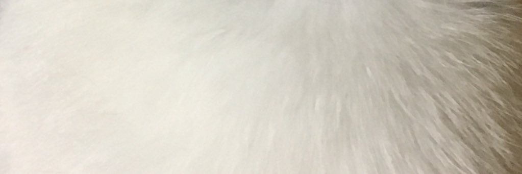 fmmmks's profile banner image