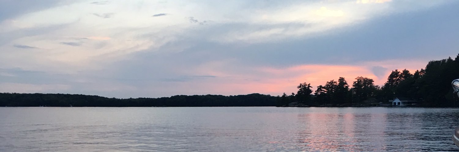 dillonosrs's profile banner image
