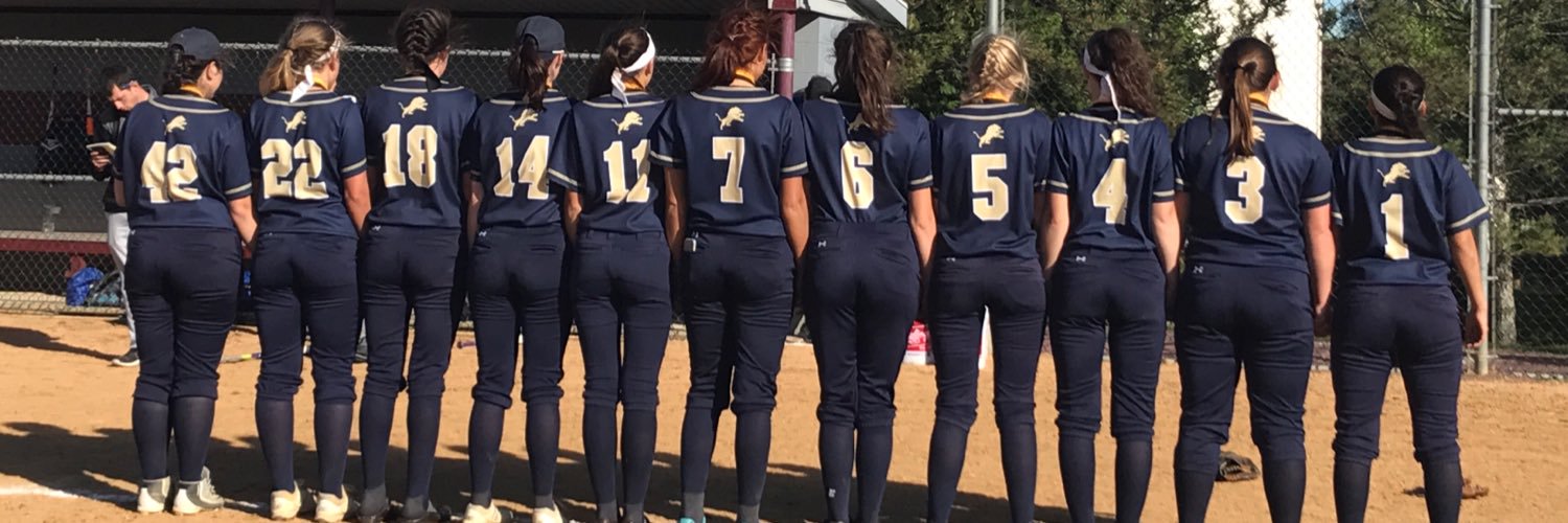 Pope John Softball banner