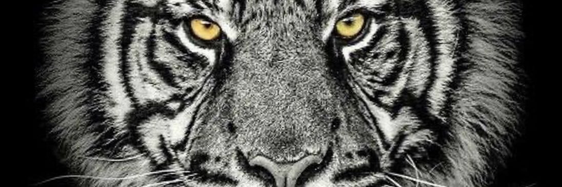 PeterDaly1966's profile banner image